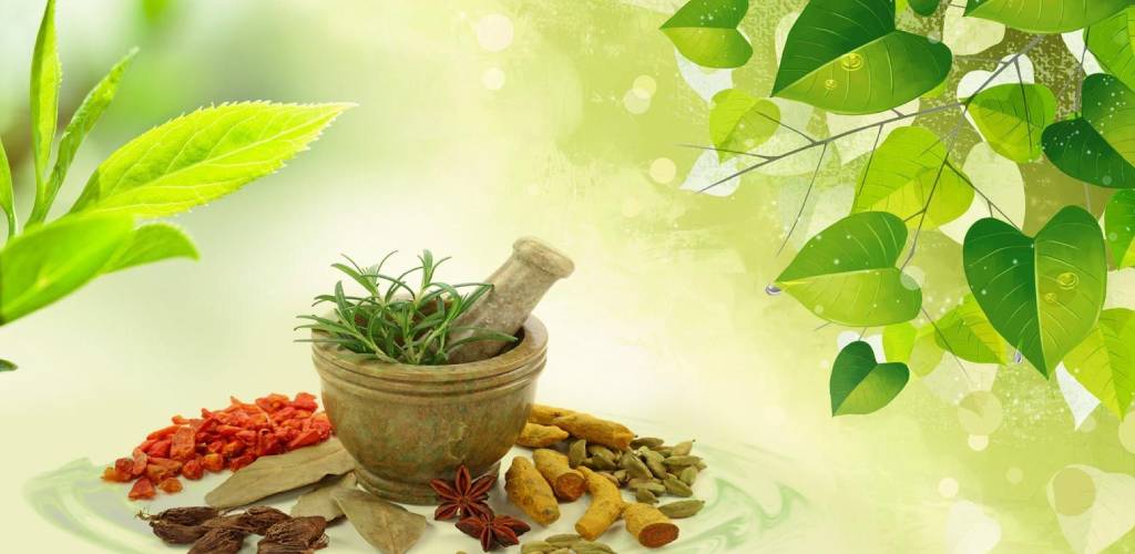 Marmaterapia Ayurveda {{brizy_dc_image_alt imageSrc=